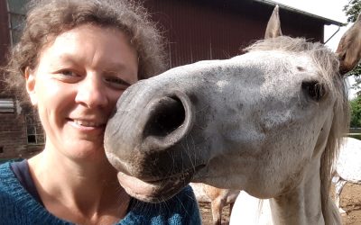 Vom Kopf in den Körper