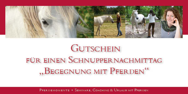 Verschenke eine Begegnung mit Pferden