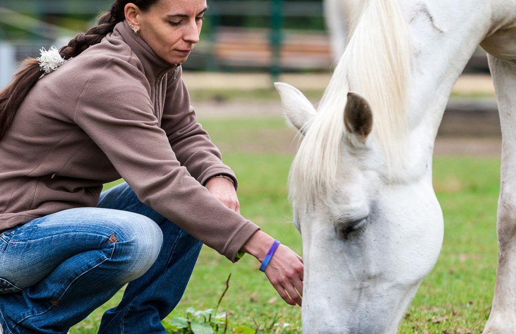 Mit Pferden entspannen