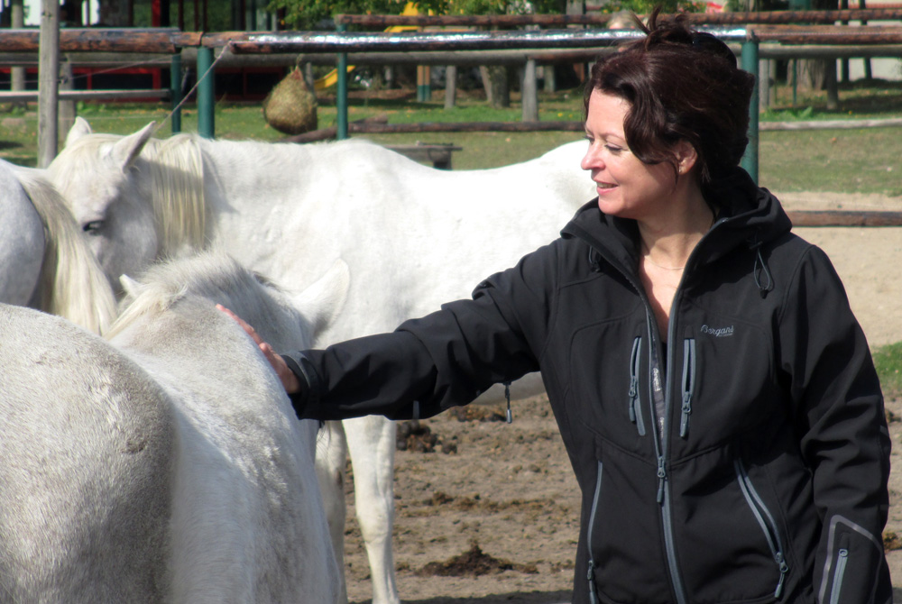 3 Dinge, die du von Pferden über Gefühle lernen kannst