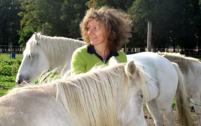 Mut zum Fühlen – wie Gefühle dich lebendig machen