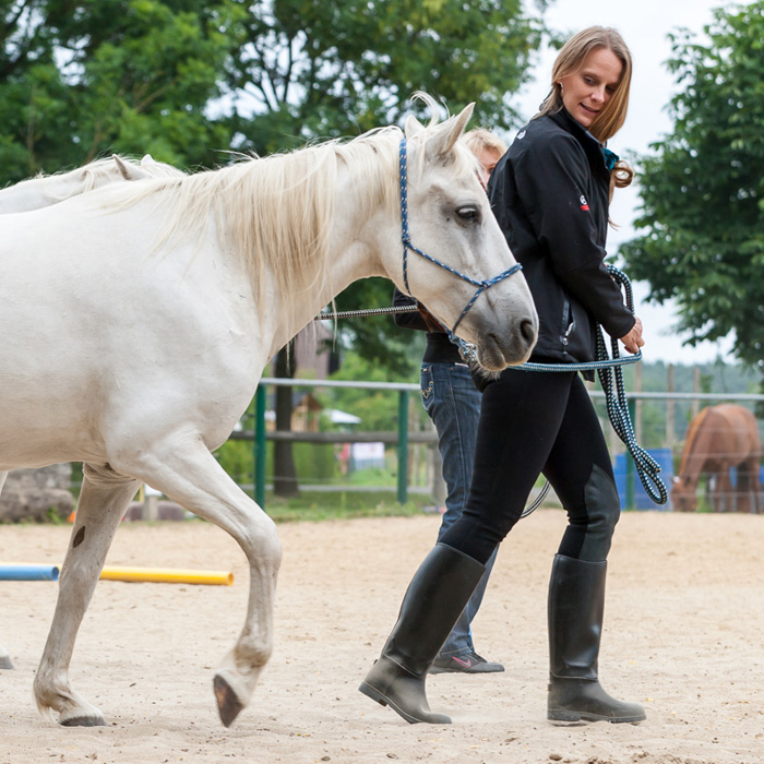 Gemeinsam Aufgaben lösen und den Zusammenhalt im Team stärken