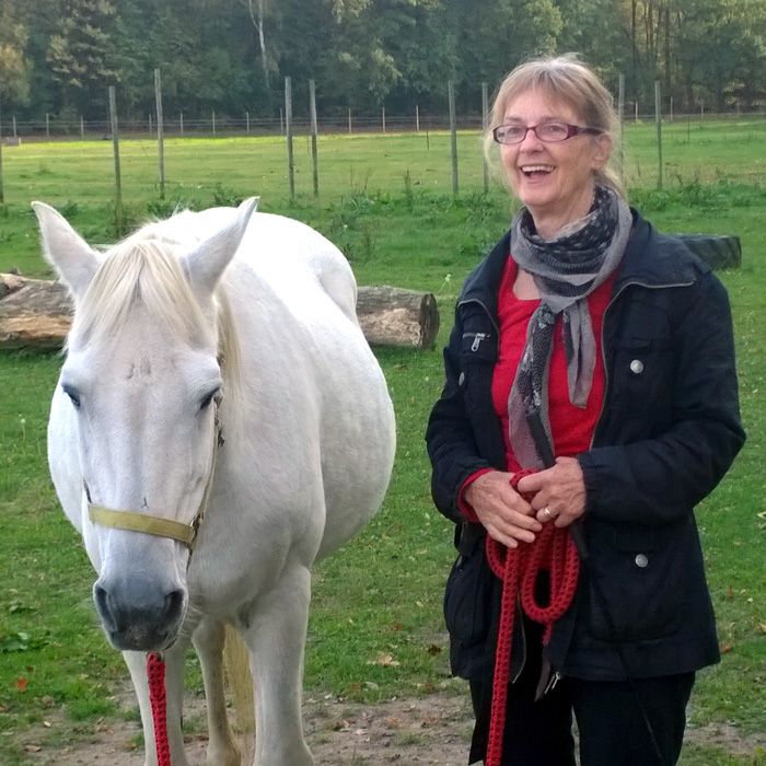Lebendiges Lernen mit Pferden
