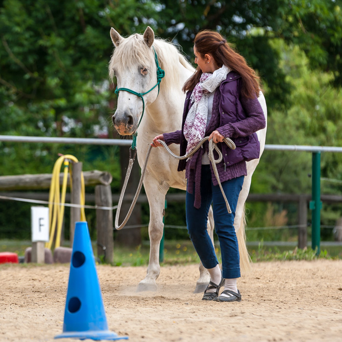 Verbindung statt Dominanz erleben