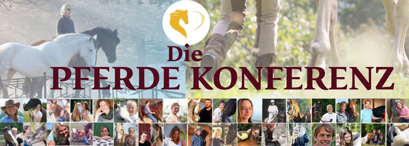 Interview-Gast bei der Pferdekonferenz