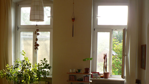 Natur vor dem Fenster