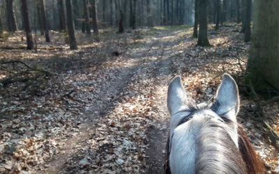 Danke Corona – 5 positive Dinge, die der Shutdown mir gebracht hat