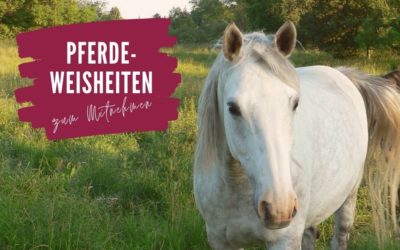 Lenke deine Aufmerksamkeit auf das, was du willst