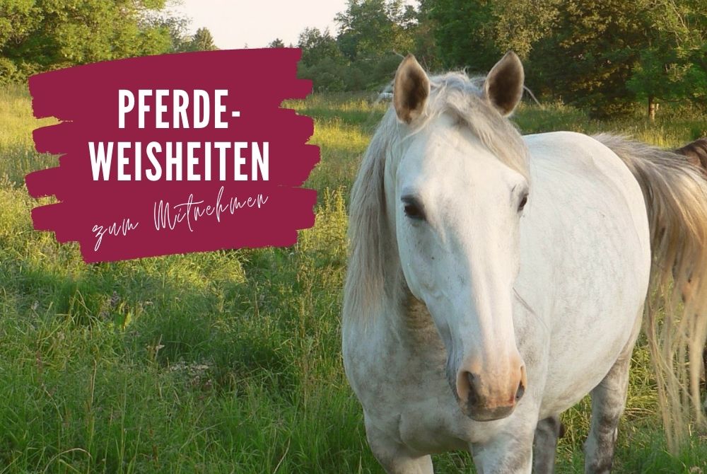 Lenke deine Aufmerksamkeit