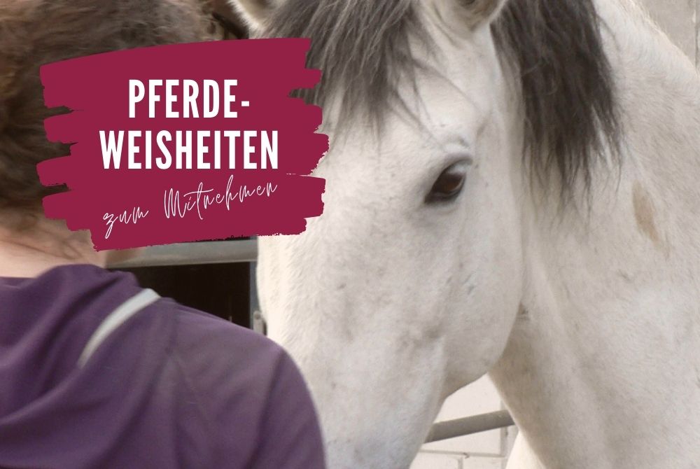 Wie Fühlst Du Dich gerade?