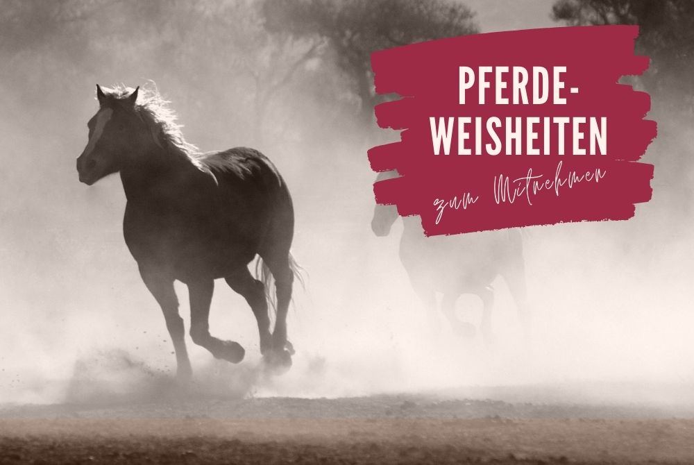 Blog Angst und Unsicherheit