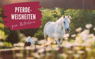 Folge deiner Freude
