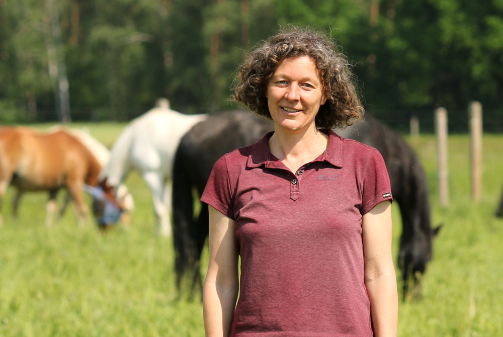 Was ist pferdegestütztes Coaching?