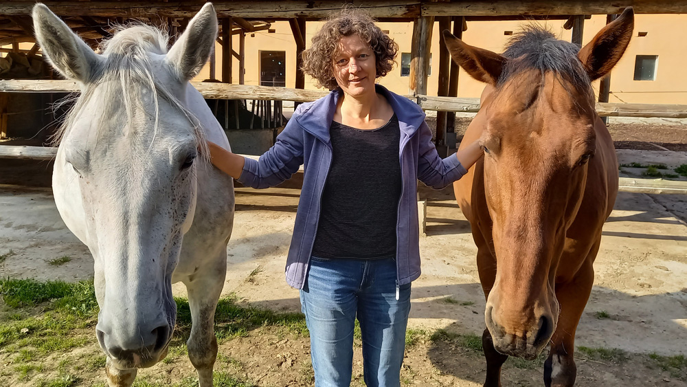 Meine vierbeinigen Mitarbeiter