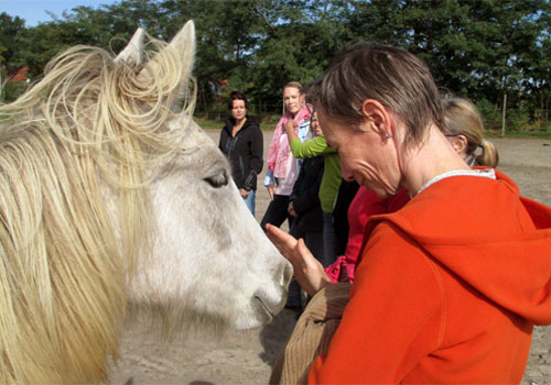 Seminare mit Pferden