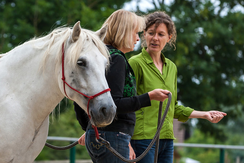 Pferdecoaching: Coach, Coachee und Pferd im Gespräch