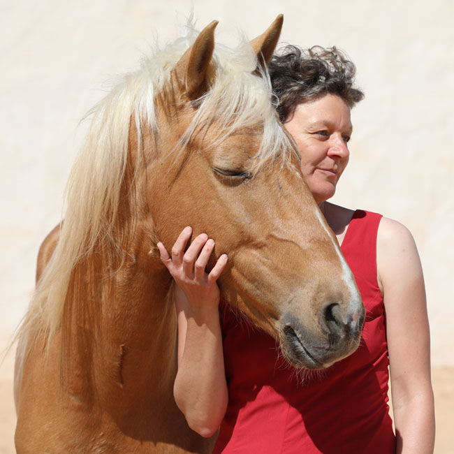 Katharina mit Berber-Hengst Tahfoun