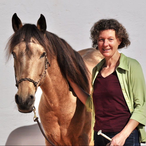 Berber-Hengst beim Fotoshooting in Djerba