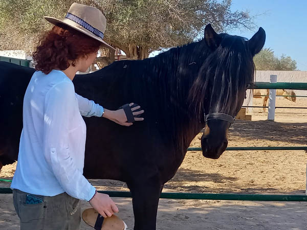 Achtsames Putzen stärkt die Verbindung von Mensch und Pferd