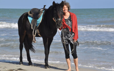 Im Zauber des Orients – meine „Pferdereise“ nach Djerba