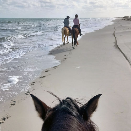 Strandritt in der Sonne auf Djerba