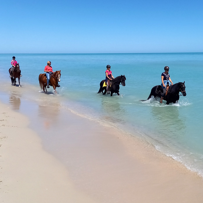 Strandritt auf Djerba - Baden mit den Pferden