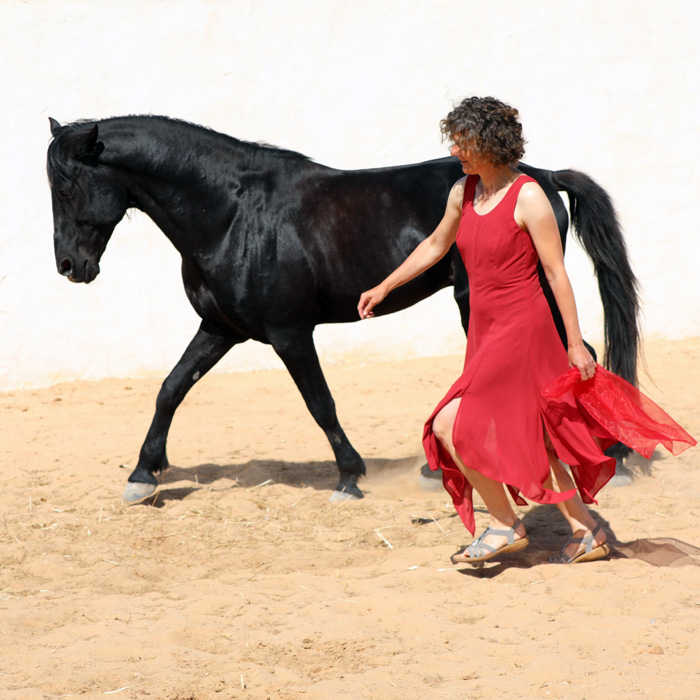 Tanz mit einem Hengst auf Djerba