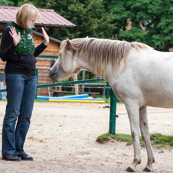 Deinen eigenen Raum behaupten