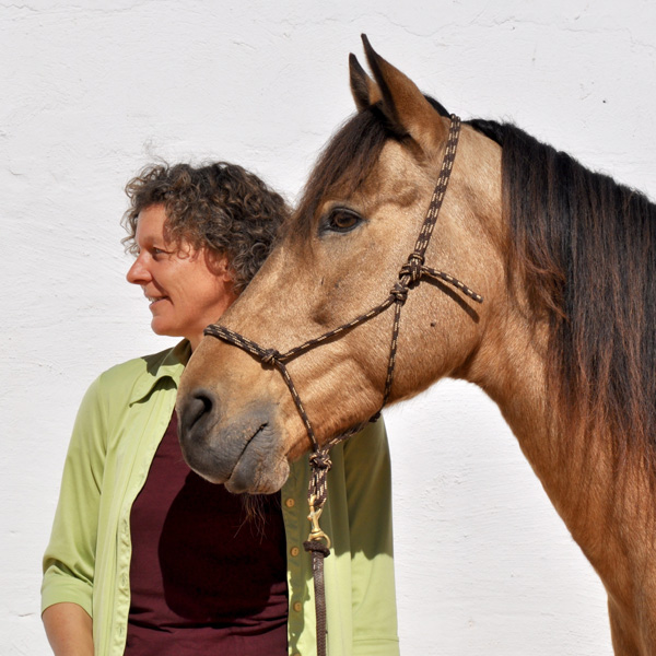 Fotoshooting mit Berber-Hengst