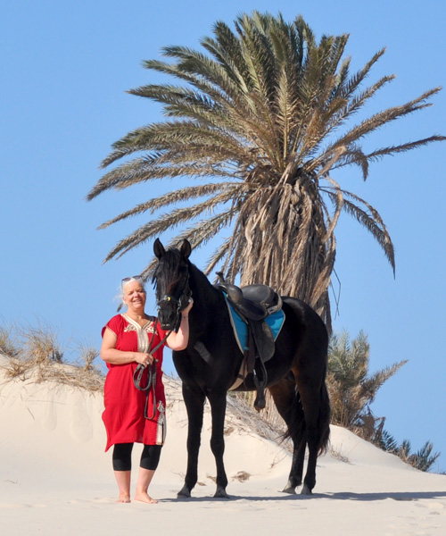 Fotoshooting mit Pferd vor Palmen