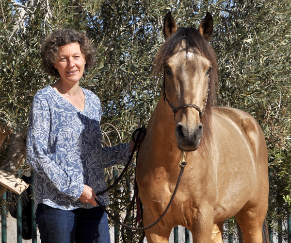 Fotoshooting mit Berber-Hengst