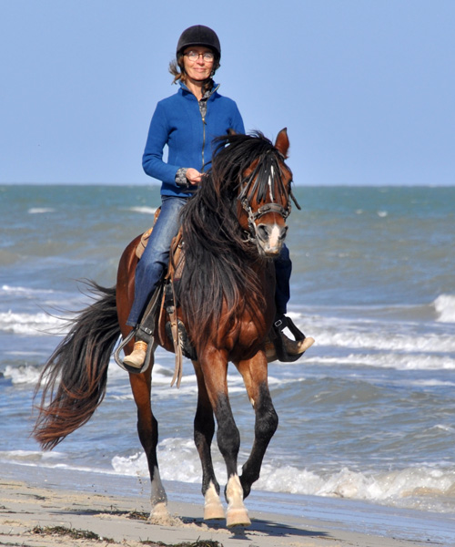 Djerba Reiten am Strand