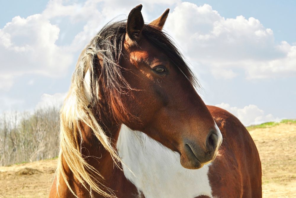 Grenzen setzen für mehr Freiraum