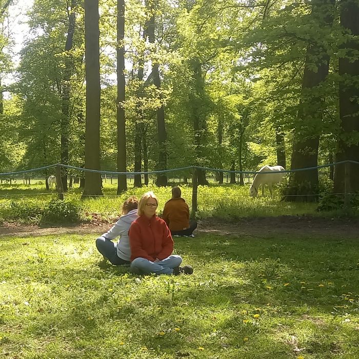 Meditation im Wald