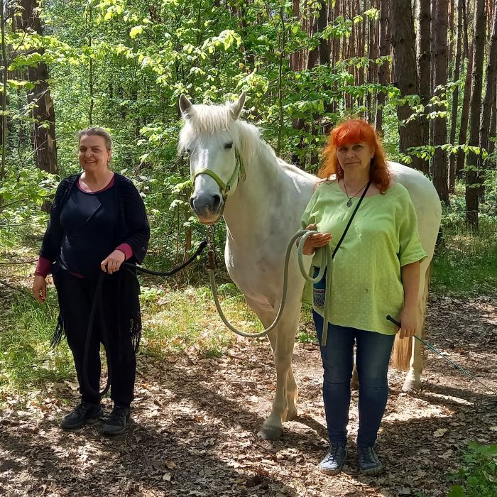 Pferdespaziergang im Wald