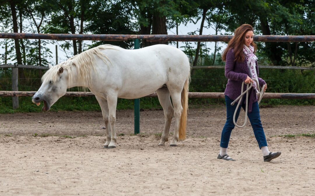 „Ich kann das nicht“ – Manchmal beginnt innere Stärke genau dort, wo du am liebsten aufgeben würdest.