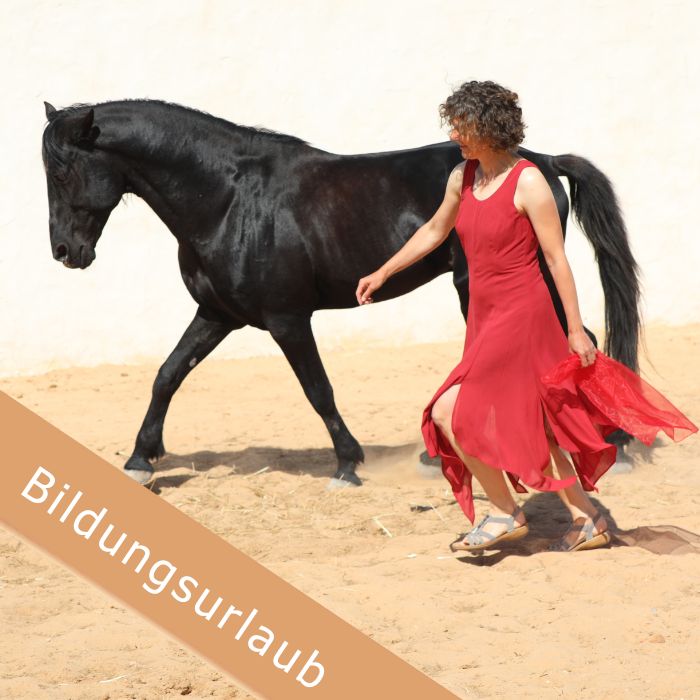 Bildungsurlaub auf Djerba